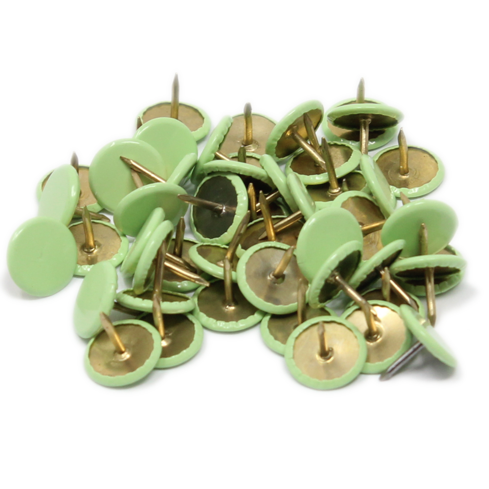 50 Heftzwecken in Pastellgrün